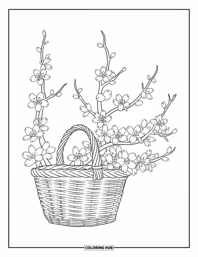 Kirschblüten-Ausmalbild für Kinder: Ein Weidenkorb hält blühende Kirschzweige mit verstreuten Blütenblättern