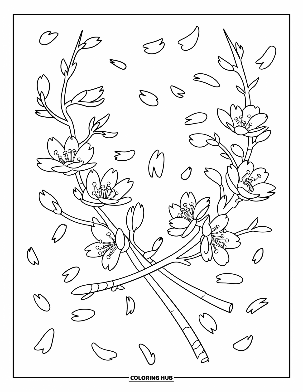 Cherry Blossom Coloring Page for Kids: Cherry blossom branches cross softly with petals floating around