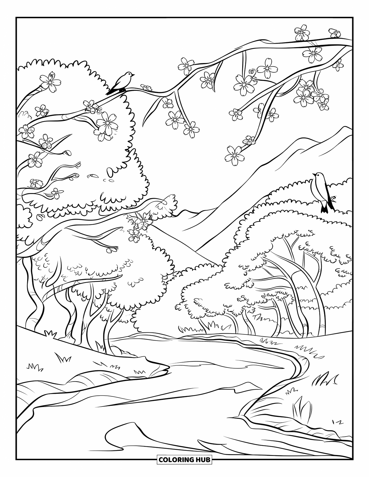 Cherry Blossom Coloring Page for Kids: Cherry trees line a winding river with birds resting on the branches