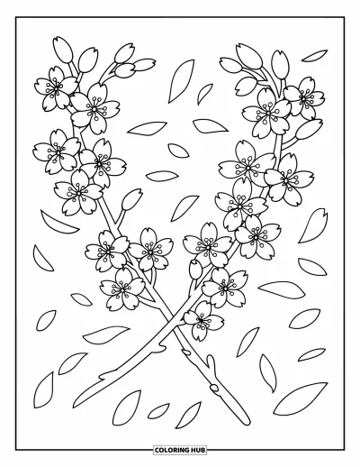 Kirschblüten-Ausmalbild für Kinder: Sich kreuzende Kirschzweige mit zarten Blüten und sanft fallenden Blütenblättern
