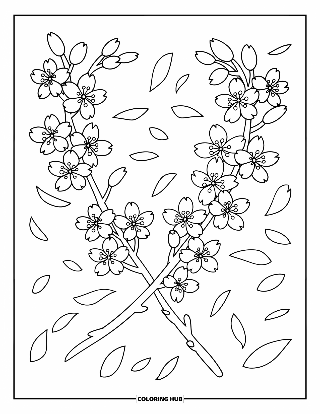 Cherry Blossom Coloring Page for Kids: Crossed cherry branches with delicate flowers and soft falling petals
