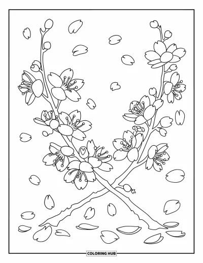 Kirschblüten-Ausmalbild für Kinder: Zwei Kirschblütenzweige kreuzen sich sanft mit darunter verstreuten Blütenblättern