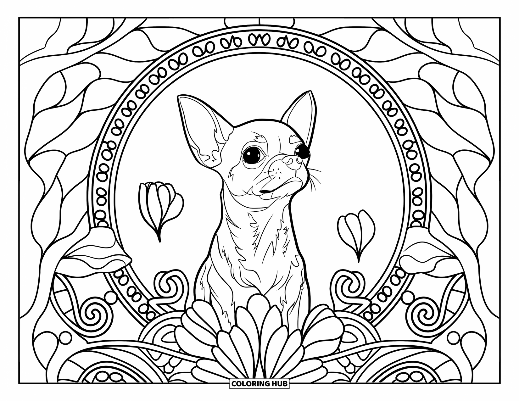 Chihuahua Coloring Page for Adults: Chihuahua gazes upward within a border of stained glass petals and swirls