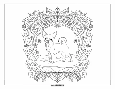 Kolorowanka z chihuahua dla dorosłych: Chihuahua pozuje na poduszce w botanicznej ramce z ozdobnymi bordiurami