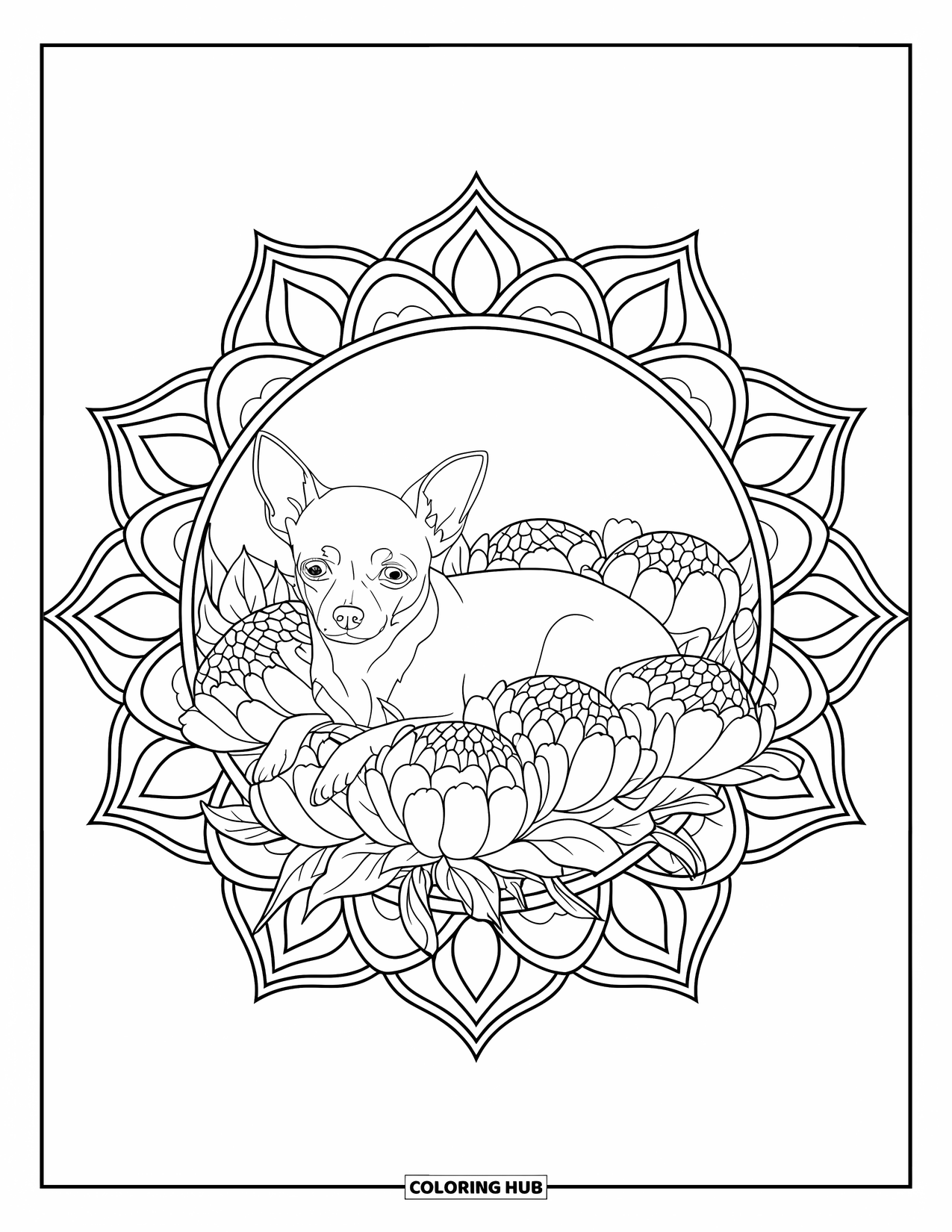 Chihuahua Coloring Page for Adults: Chihuahua rests in peonies within a detailed mandala of shapes and petals