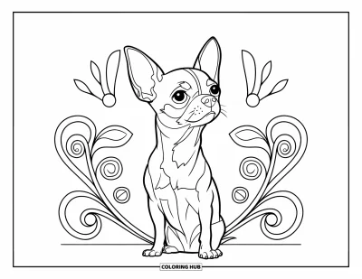 Kolorowanka z chihuahua dla dorosłych: Chihuahua siedzi spokojnie w ramce z witrażowych płatków i spiralnych kształtów