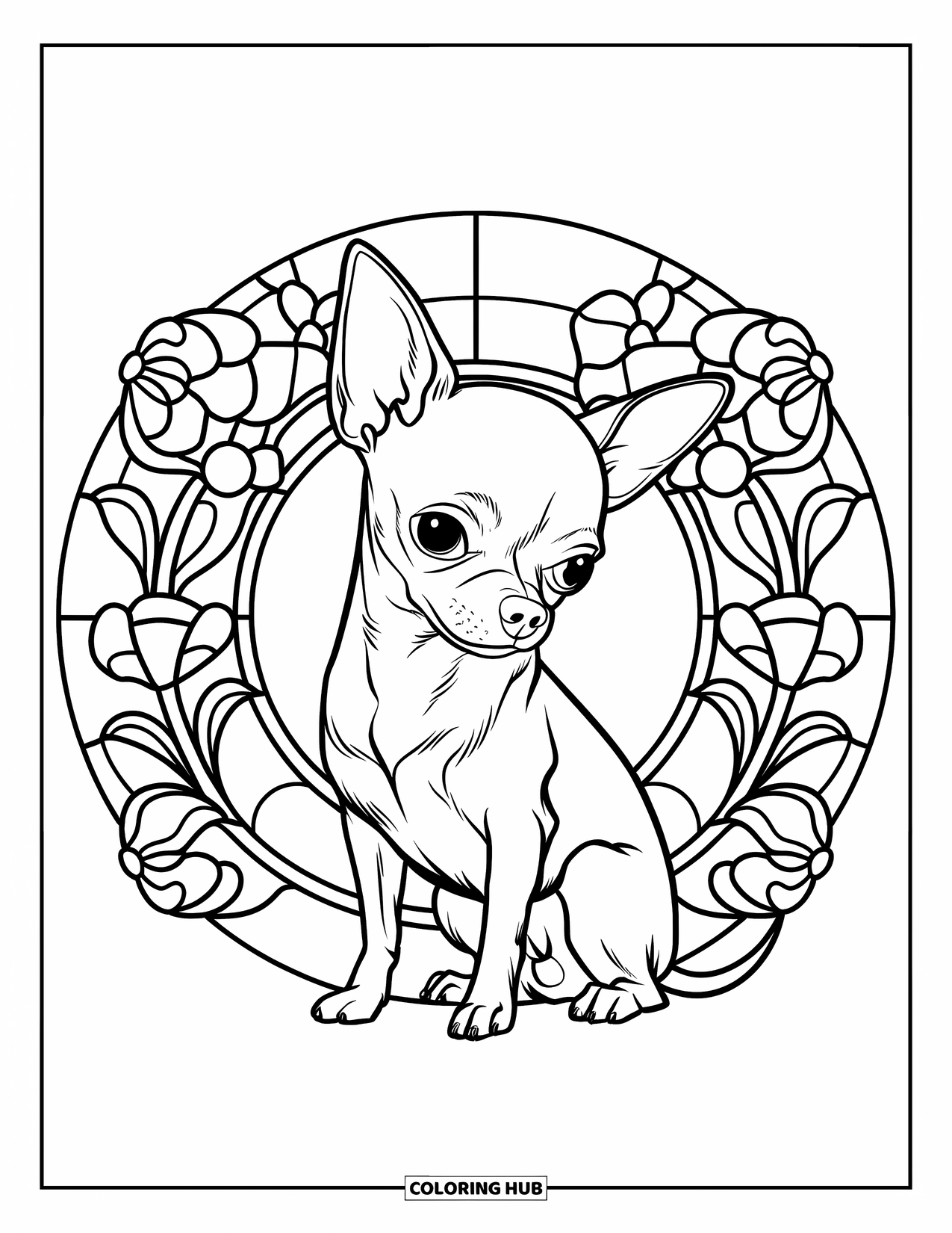 Chihuahua Coloring Page for Adults: Chihuahua sits sweetly, framed by stained glass floral designs