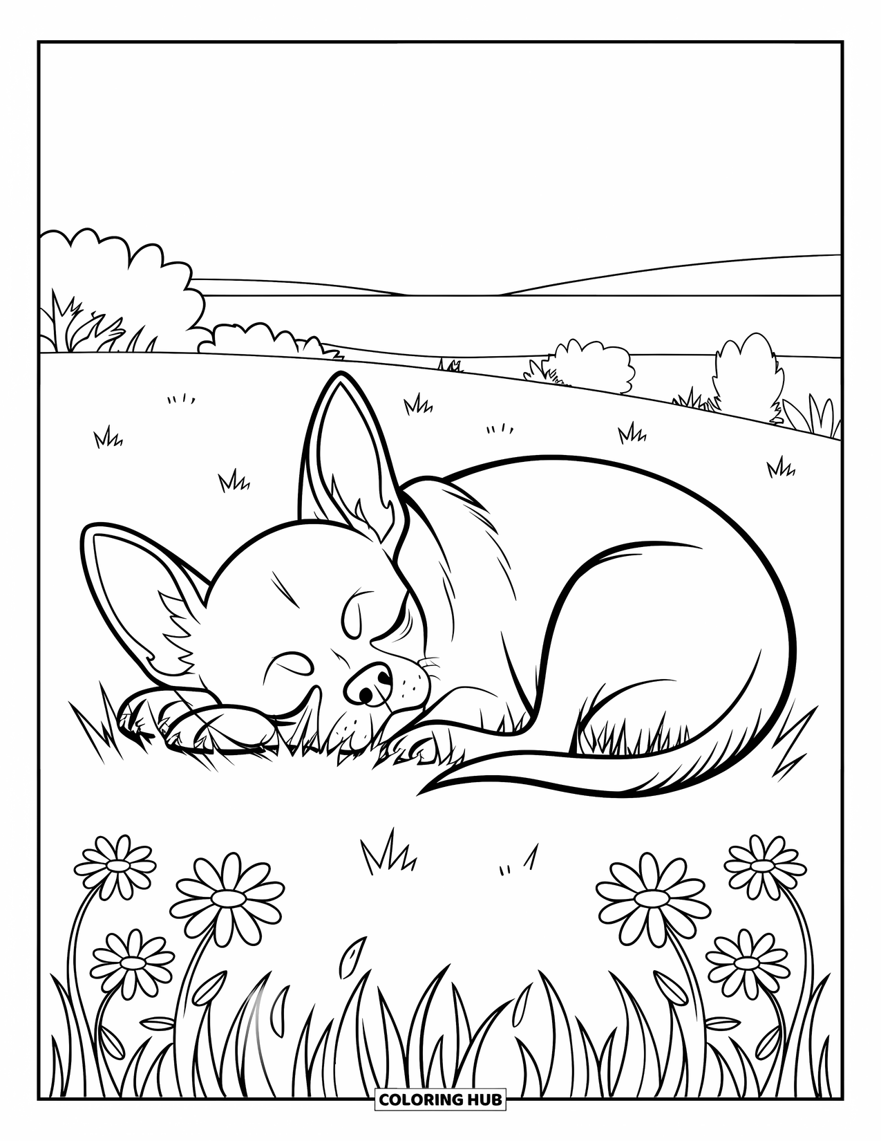 Chihuahua Coloring Page for Adults: Chihuahua sleeps on a grassy field with trees and floral designs nearby