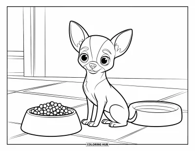 Kolorowanka z chihuahua dla dzieci: Chihuahua siedzi obok miski na jedzenie i wody na czystej podłodze