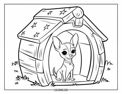 Kolorowanka z chihuahua dla dzieci: Chihuahua siedzi w budzie z gwiazdkowym dachem na trawie
