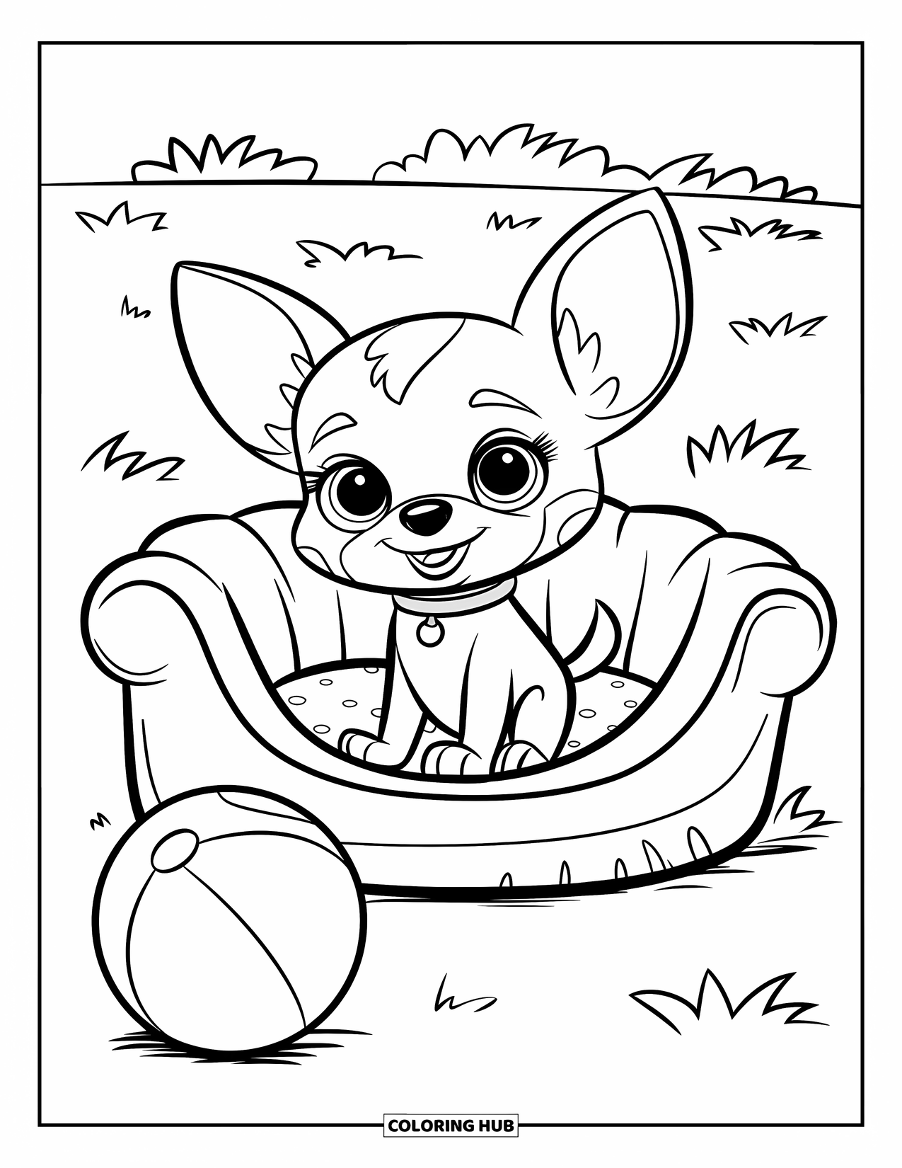 Chihuahua Coloring Page for Kids: Chihuahua with big eyes sits in a dog bed on grass