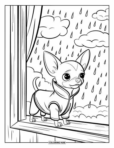 Kolorowanka z chihuahua dla dzieci: Chihuahua w małym płaszczyku przeciwdeszczowym stoi na parapecie i obserwuje krople deszczu