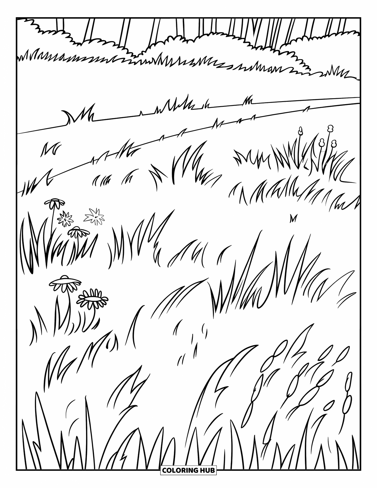 Grass Coloring Page for Kids: A cozy field of grass with wildflowers and a winding path