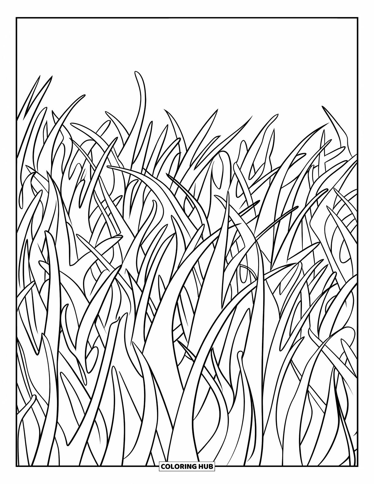 Grass Coloring Page for Kids: Thin grass blades point in many directions across the field