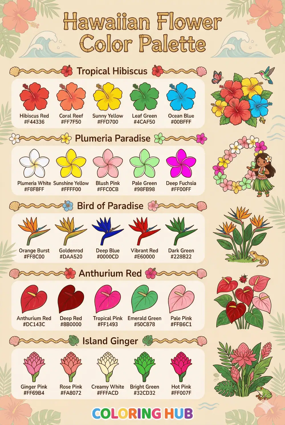 Hawaiian Flower Coloring Page Color Palettes