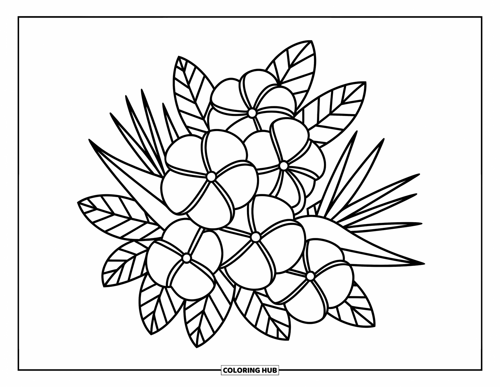 Hawaiian Flower Coloring Page for Adults: A cozy floral bunch with plumeria, hibiscus, and leaves layered in cute proportions