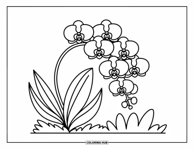 Hawaiianisches Blumen-Ausmalbild für Erwachsene: Ein sanfter Orchideenstiel biegt sich mit weichen Blütenblättern, Blättern und fröhlichen Miniaturwesen