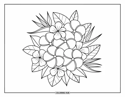 Hawaiianisches Blumen-Ausmalbild für Erwachsene: Hibiskus und Plumeria erblühen gemeinsam in einer lebendigen Gruppe mit verspielten Blättern