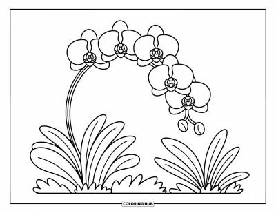 Hawaiianisches Blumen-Ausmalbild für Erwachsene: Orchideen wiegen sich sanft auf einem gebogenen Stiel mit gemütlichen Blättern und verspielten Minidetails