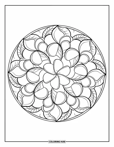 Hawaiianisches Blumen-Ausmalbild für Erwachsene: Plumeria und Orchideen in einem floralen Mandala mit kunstvollen Blättern und Mustern