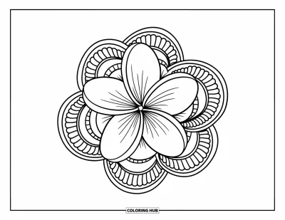 Hawaiianisches Blumen-Ausmalbild für Erwachsene: Eine Plumeria-Blüte strahlt im Zentrum zarter geschichteter Ringe und spitzenartiger Ränder