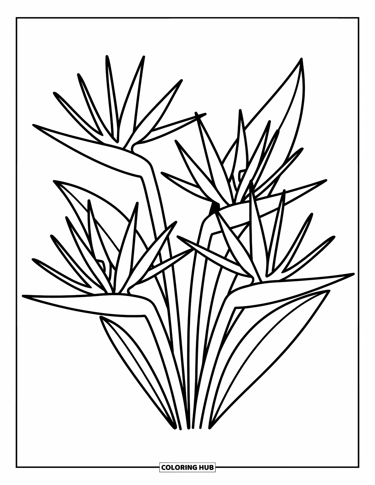 Hawaiian Flower Coloring Page for Adults: Pointed petals curl into soft shapes with gentle leaves and playful little elements
