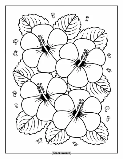 Hawaiianisches Blumen-Ausmalbild für Erwachsene: Drei Hibiskusblüten überlappen mit runden Blütenblättern und gemütlichen Blatthäufchen