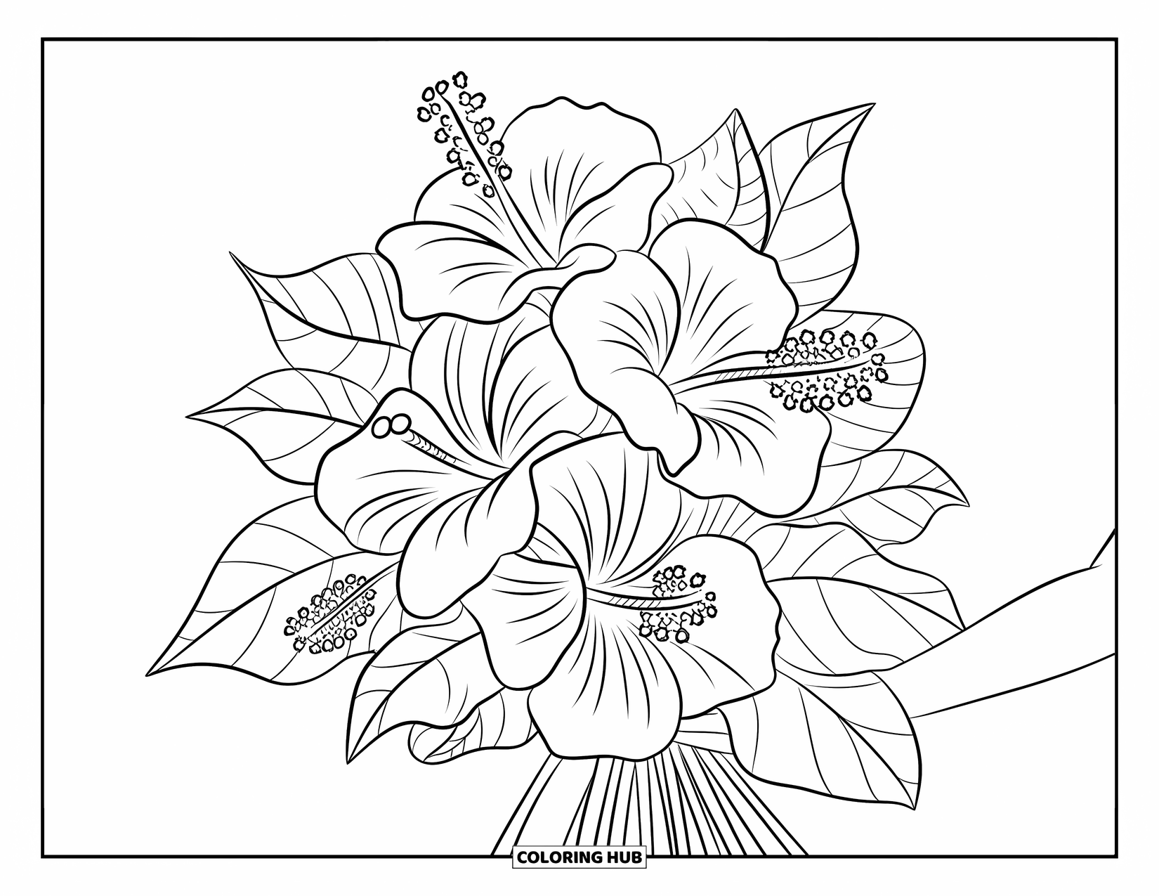 Hawaiian Flower Coloring Page for Kids: A butterfly rests on a hibiscus bouquet held by a graceful arm