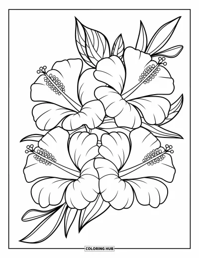 Hawaiianisches Blumen-Ausmalbild für Kinder: Drei Hibiskusblüten in einer modernen Dreiecksanordnung