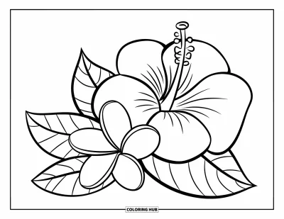 Hawaiianisches Blumen-Ausmalbild für Kinder: Große Hibiskus- und zierliche Plumeria-Blüte nebeneinander