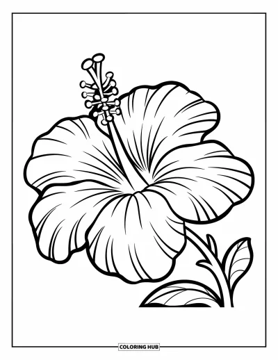 Hawaiianisches Blumen-Ausmalbild für Kinder: Großer Hibiskus mit fünf dicken Blütenblättern und geschwungenem Stiel