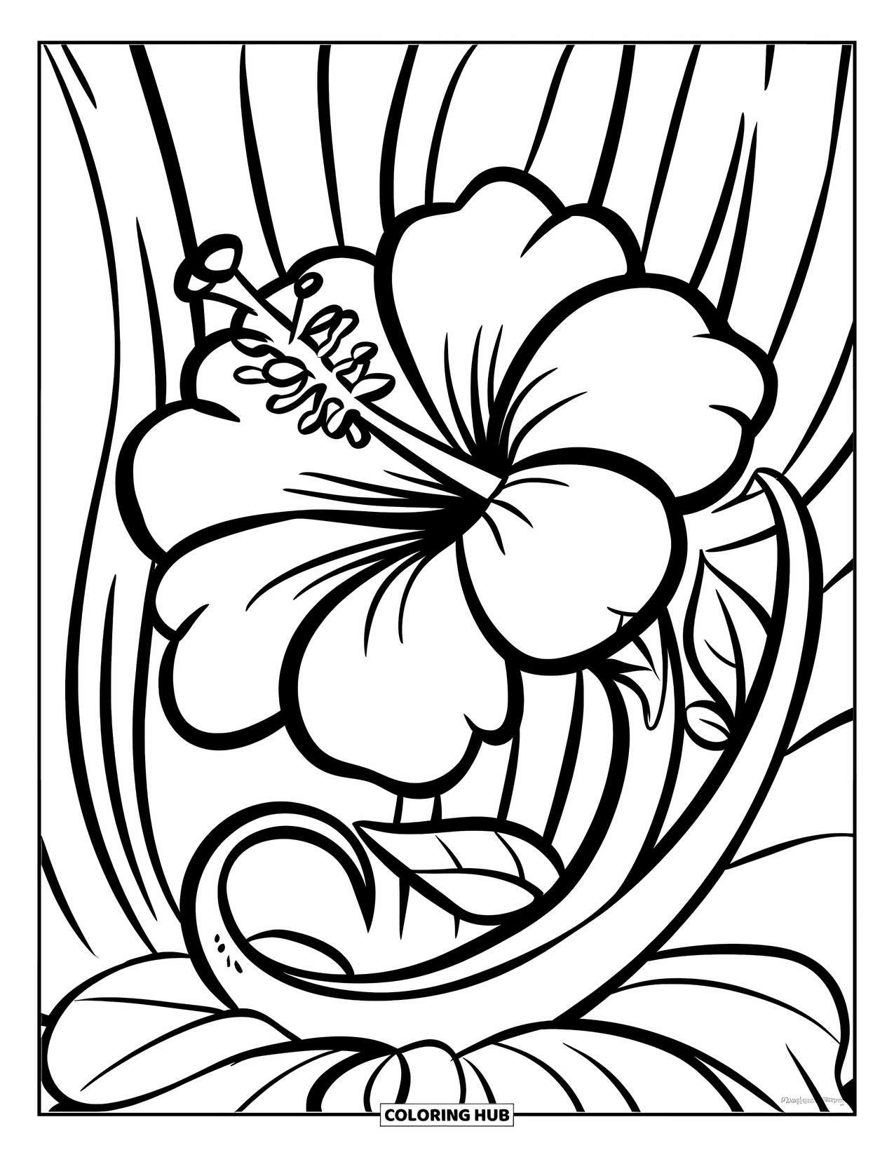 Hawaiian Flower Coloring Page for Kids: Bold hibiscus flower with curvy stem and a cheerful feel