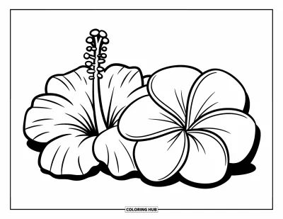 Hawaiianisches Blumen-Ausmalbild für Kinder: Fröhliche Hibiskus- und Plumeria-Blüten blühen nebeneinander