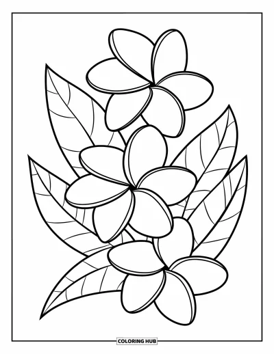 Hawaiianisches Blumen-Ausmalbild für Kinder: Diagonale Anordnung von Plumeria-Blüten mit dazwischengelegten Blättern