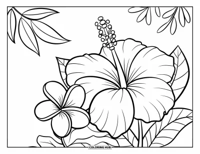 Hawaiianisches Blumen-Ausmalbild für Kinder: Hibiskus und Plumeria liegen zusammen mit einigen Blättern und einem Zweig