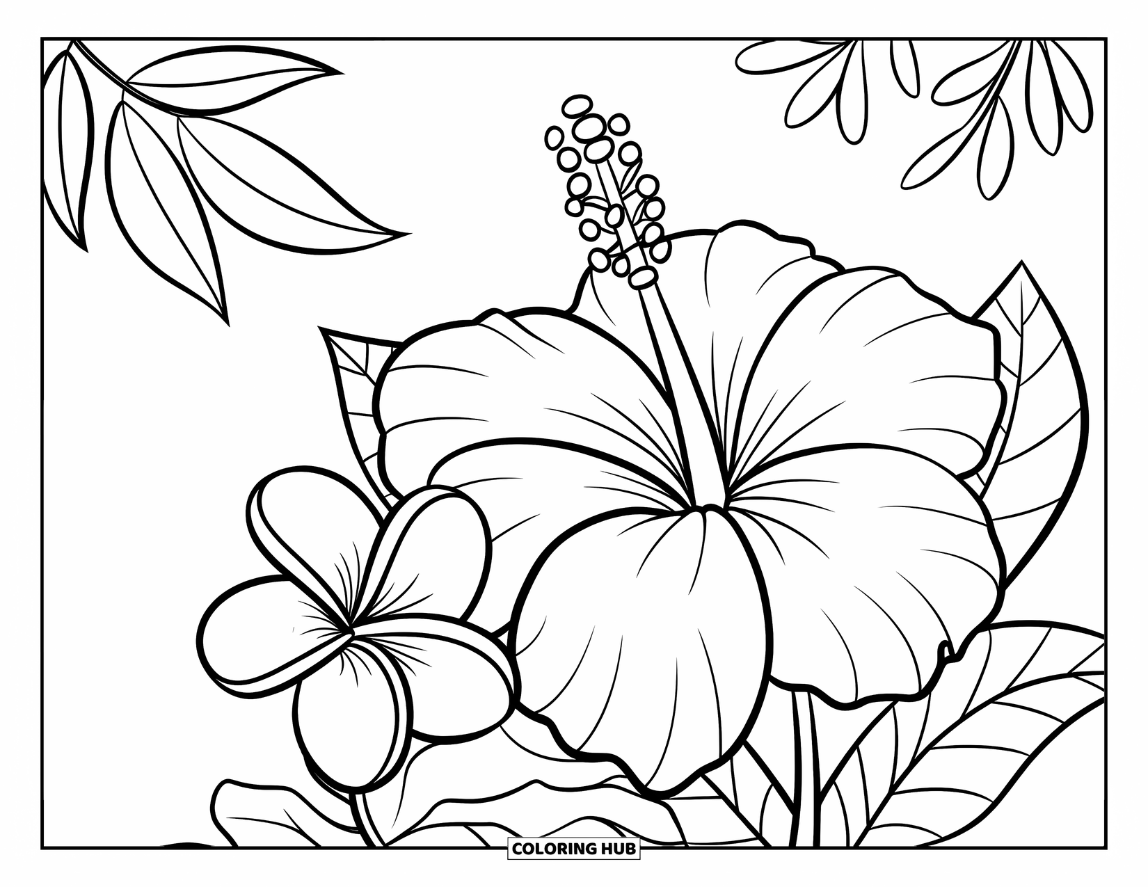 95 Hawaiian Flower Coloring Pages - Hawaiian Flower Coloring Page For Kids Hibiscus And Plumeria Rest Together With A Few Leaves And A B 
