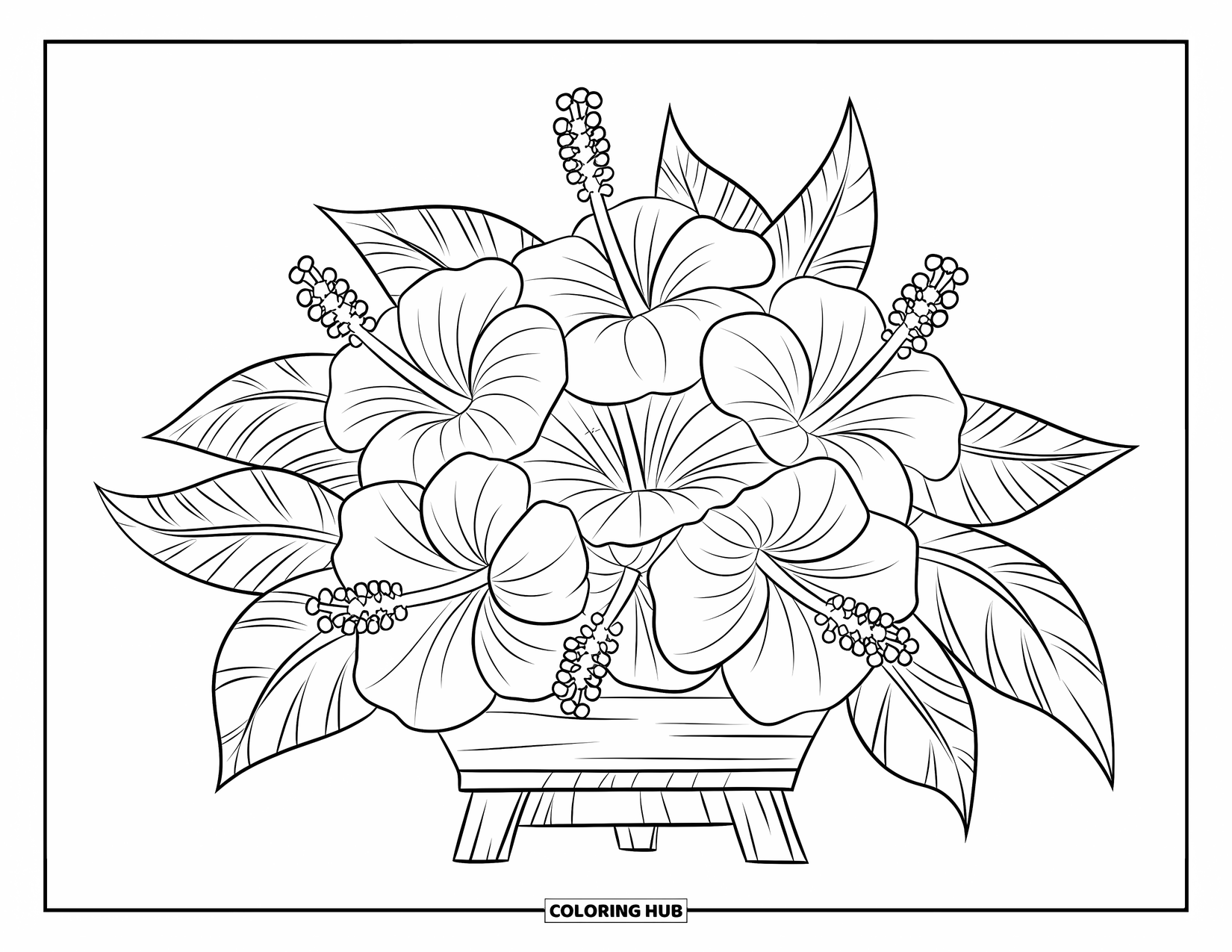 Hawaiian Flower Coloring Page for Kids: Hibiscus bouquet sits on a wooden stand with leaves surrounding it