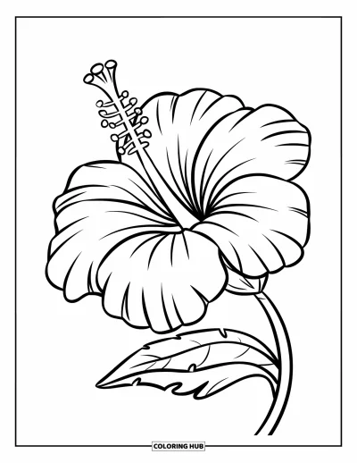 Hawaiianisches Blumen-Ausmalbild für Kinder: Hibiskusblüte mit kräftigen Blütenblättern und einem geschwungenen Stiel