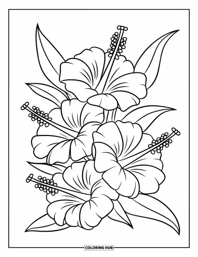 Hawaiianisches Blumen-Ausmalbild für Kinder: Hibiskusblüten bilden ein Dreieck in einem klaren und ausdrucksstarken Design