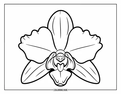 Hawaiianisches Blumen-Ausmalbild für Kinder: Große Orchideenblüte mit kräftigen Linien und geöffneten Blütenblättern