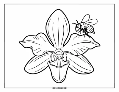 Hawaiianisches Blumen-Ausmalbild für Kinder: Orchideenblüte mit einer nahegelegenen summenden Biene