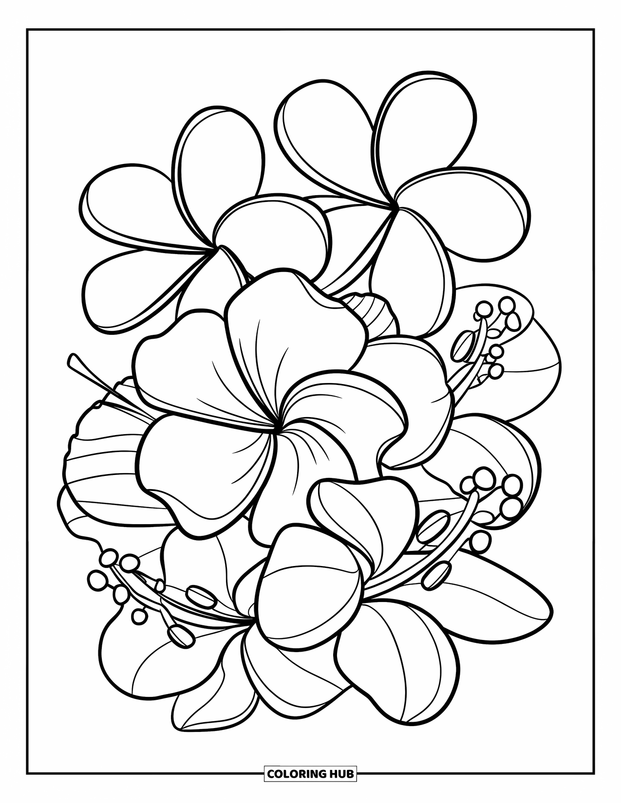 Hawaiian Flower Coloring Page for Kids: Overlapping tropical flowers bloom with bold shapes and clean lines