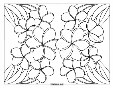 Hawaiianisches Blumen-Ausmalbild für Kinder: Plumeria und Tiare nebeneinander in einem modernen Blumendesign