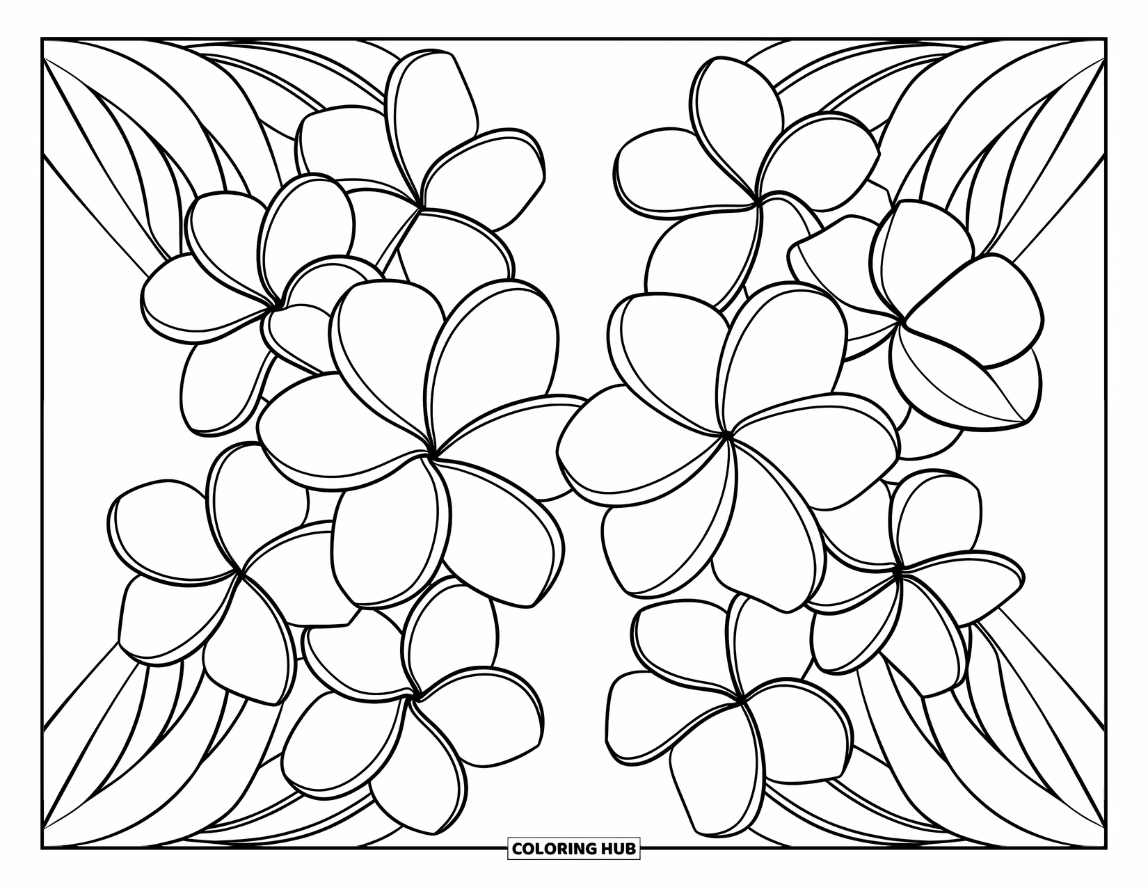 Hawaiian Flower Coloring Page for Kids: Plumeria and tiare flowers arranged side by side in a modern floral design