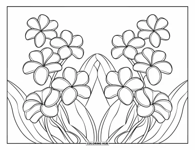 Hawaiianisches Blumen-Ausmalbild für Kinder: Plumeria und Tiare-Blüten nebeneinander in einem klaren, modernen Design