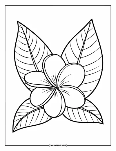 Hawaiianisches Blumen-Ausmalbild für Kinder: Plumeria-Blüte mit runden Blütenblättern und Blattakzenten