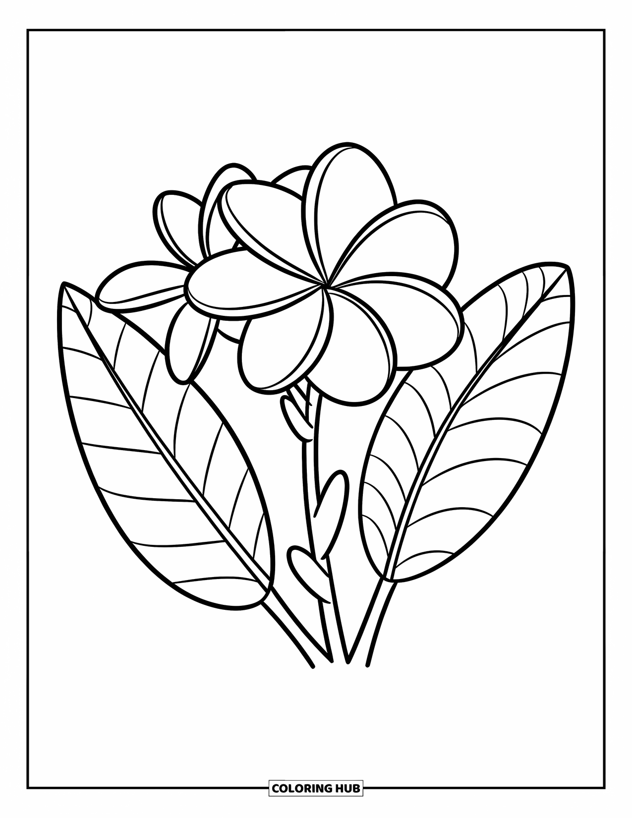 Hawaiian Flower Coloring Page for Kids: Plumeria in full bloom with two large leaves behind it