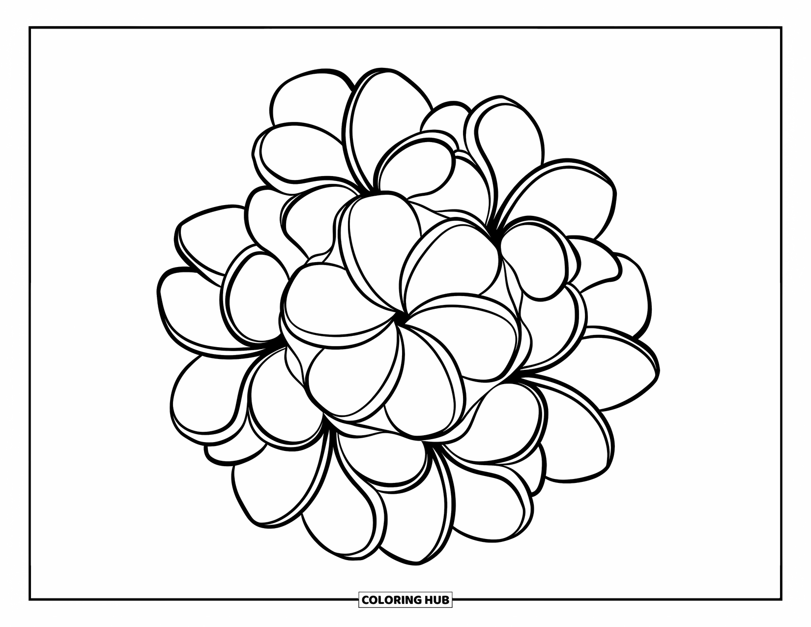 Hawaiian Flower Coloring Page for Kids: Plumeria mandala design with neat flower layers and a clean border