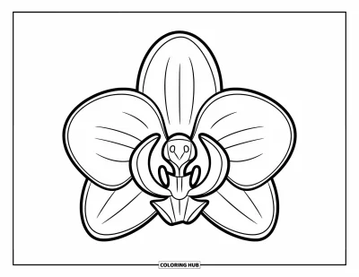 Hawaiianisches Blumen-Ausmalbild für Kinder: Schlichte Orchidee mit runden Blütenblättern und fröhlichem, verspieltem Aussehen