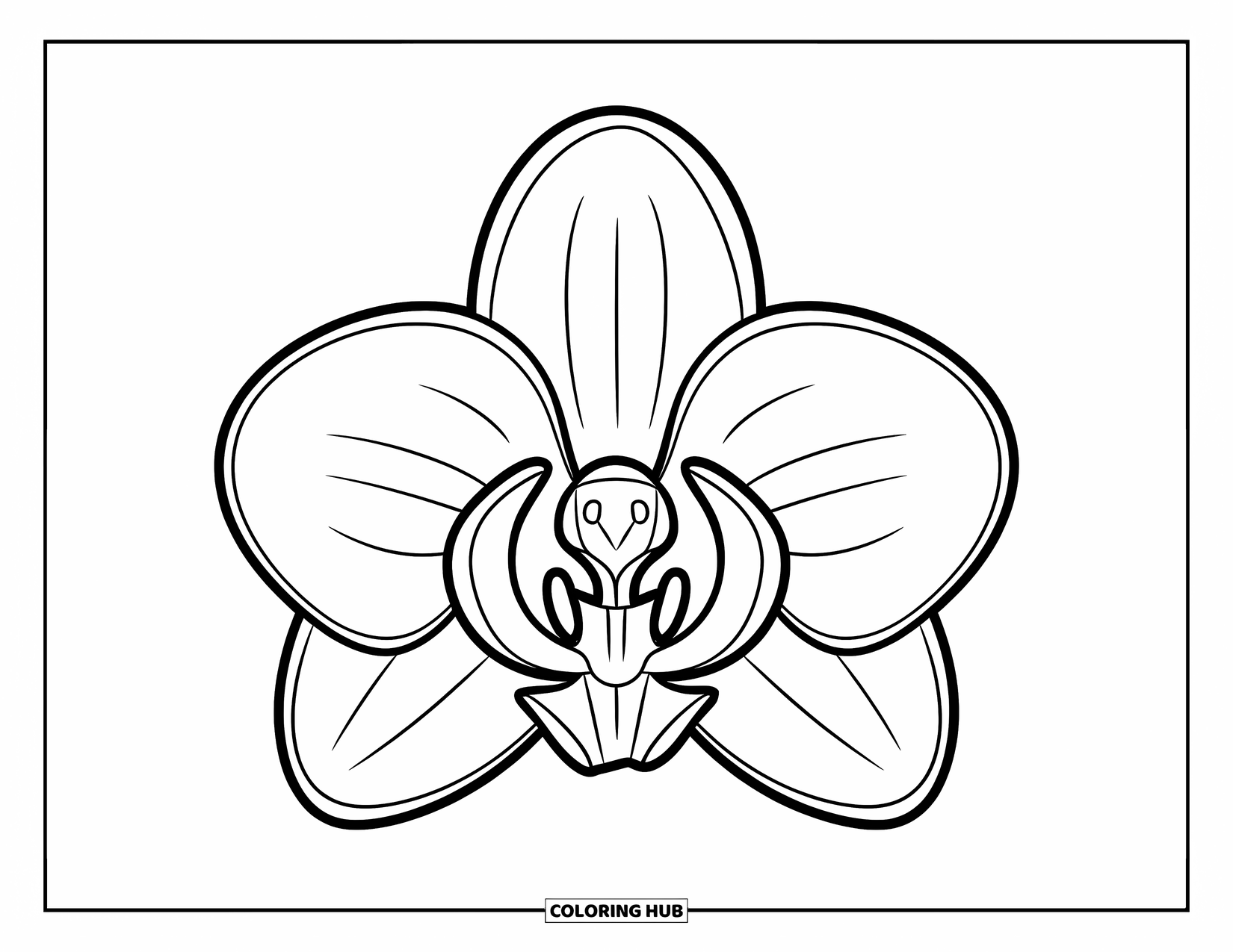 Hawaiian Flower Coloring Page for Kids: Simple orchid with rounded petals and a happy, playful look